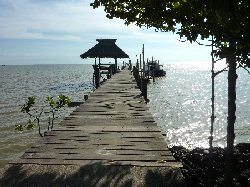 ท่าเรือศิริไวย์สปีดโบ๊ท